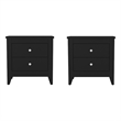 Arial Set of 2 Modern Wenge Nightstands with 2 Drawers for Bedroom Storage