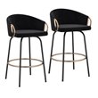 Contemporary Velvet and Metal 26