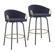 Contemporary Velvet and Metal 26