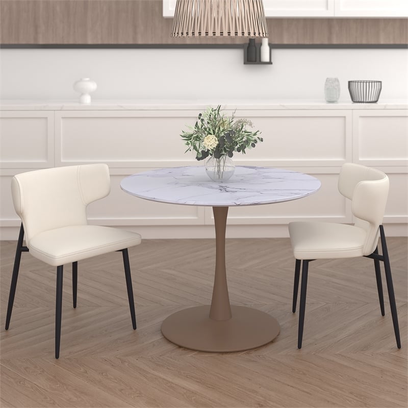Contemporary Faux Leather and Metal Dining Chair Set of 2 Beigeand Black