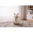 Home 2 Office Llama Animal Solid Wood & Fabric Storage Ottoman in Beige/White