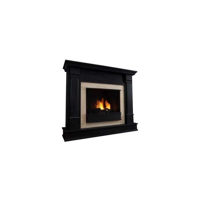 Real Flame Silverton Indoor Gel Fireplace in Black Finish G8600B