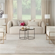 Nourison Splash 9' x 12' Beige Silver Modern Indoor Fabric Rug