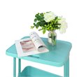 Alexent 2-Tier Table Top Plastic Storage Trolley Rolling Cart Organizer in Blue