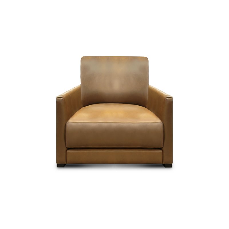 Hello Sofa Home Raffa Contemporary Top Grain Leather Club Armchair in Brown
