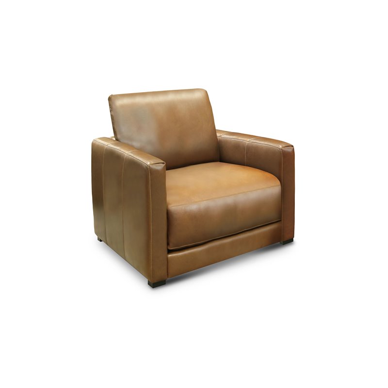 Hello Sofa Home Raffa Contemporary Top Grain Leather Club Armchair in Brown