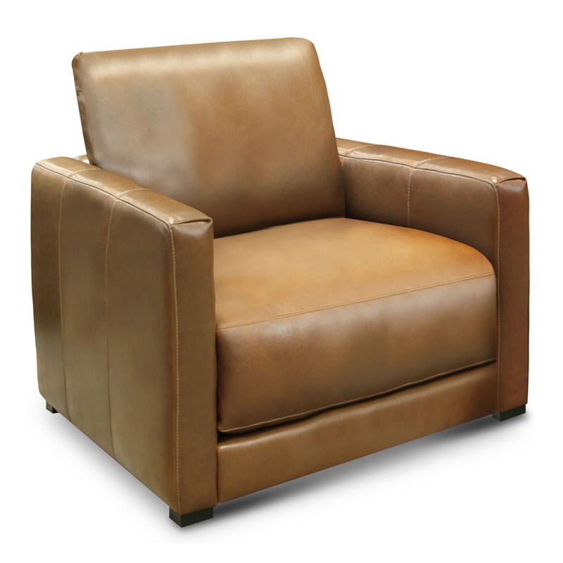 Hello Sofa Home Raffa Contemporary Top Grain Leather Club Armchair in Brown