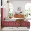 Avalon Velvet Upholstered Queen Platform Bed in Pink