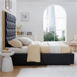 Rollie Vegan Leather Upholstered Queen Bed Frame In Black