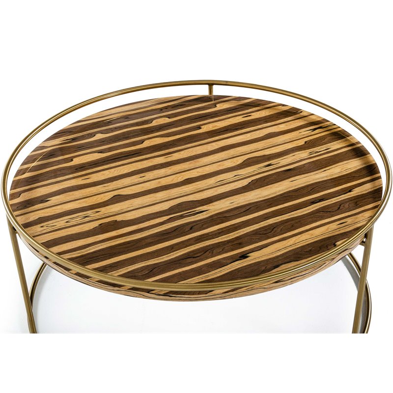 Modrest Gilcrest Faux Marble & Stainless Steel Coffee Table in Brown/Gold