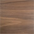 Modrest Delight Square Modern Wood Veneer End Table with Wheels in Walnut