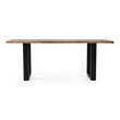 Modrest Taylor Rectangular Modern Metal & Solid Wood Dining Table in Brown