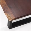 Modrest Taylor Rectangular Modern Metal & Solid Wood Dining Table in Brown