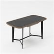 Modrest Girard 1-Drawer Modern Metal & Veneer Desk in Walnut/Black