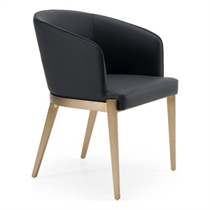 Kravitz - Modern Dark Grey Vegan Leather + Antique Brass Dining Chair