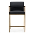 Custer - Modern Black Vegan Leather & Brass Counter Chair