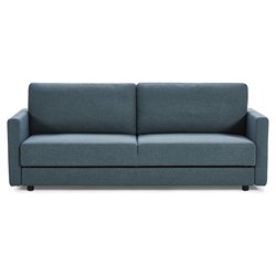 Sleeper Sofas