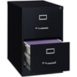 Homesphere Furniture Metal 2 Drawer Legal Width Vertical File Cabinet Black