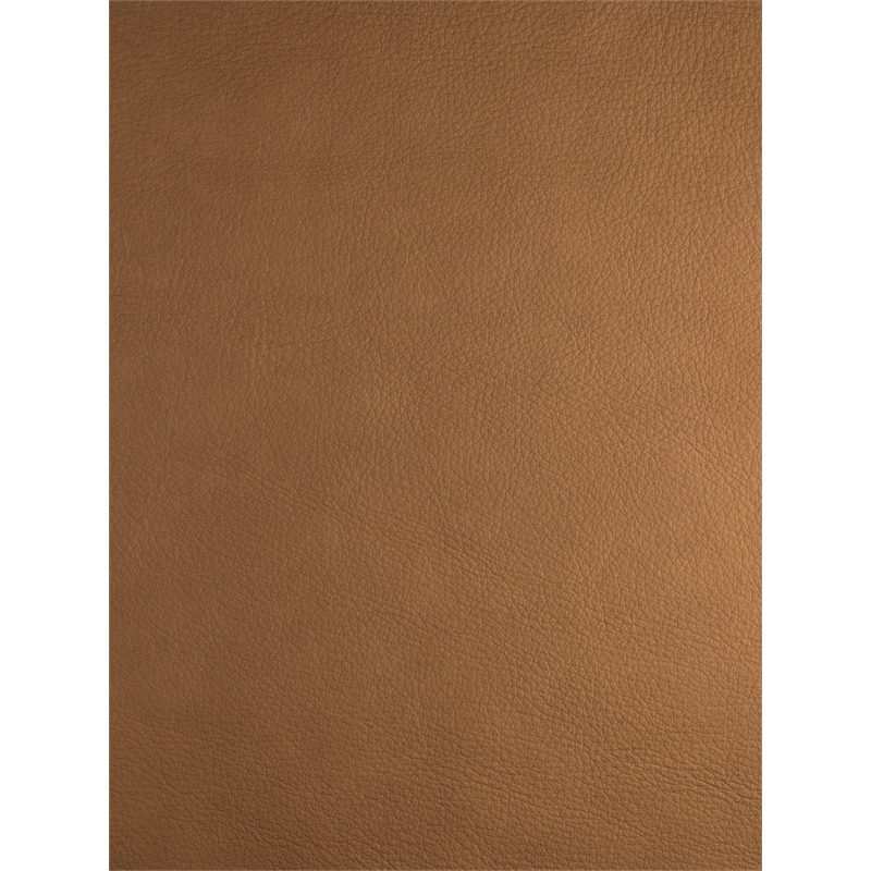 Parker Living Austin Caramel Cream Power Recliner Two Pack