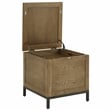 iNSPIRE Q Modern Wood Trunk End Table with Removable Tray in Oak Brown/Black