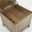 iNSPIRE Q Modern Wood Trunk End Table with Removable Tray in Oak Brown/Black