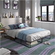 iNSPIRE Q Black Metal Platform Bed Frame - Queen