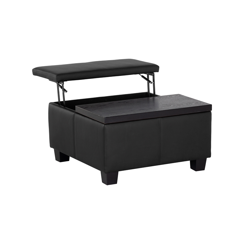 Brant House Aldo Faux Leather Storage Ottoman with Lift Top in Black
