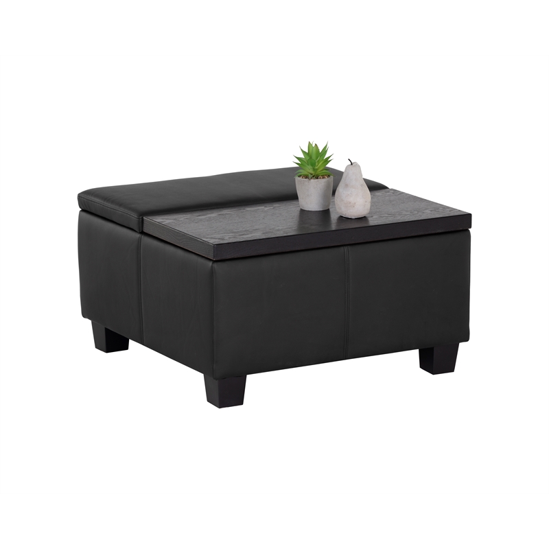 Brant House Aldo Faux Leather Storage Ottoman with Lift Top in Black
