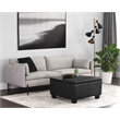 Brant House Aldo Faux Leather Storage Ottoman with Lift Top in Black
