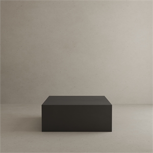 Ricky Coffee Table Small in Black