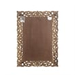 Taran Designs Monte Floral Carved Solid Wood Accent Mirror in Gray