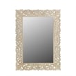 Taran Designs Monte Floral Carved Solid Wood Accent Mirror in Gray
