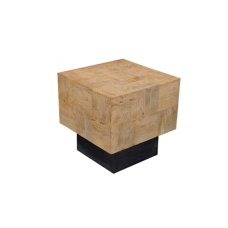 Taran Designs Maria Modern Solid Wood Square End Table in Brown