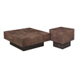 2-Piece Solid Wood Living Room Set Square Coffee and End Tables Dark Brown