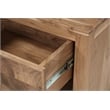 Belmont Brown Solid Wood 1-drawer 1-door Nightstand with Tree Slice Design