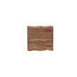 Darcy Modern Live Edge Solid Wood End Table 23