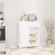 Boahaus Tours 1-Drawer Modern Wood Kitchen Pantry with Drawers in White