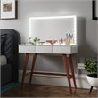 Boahaus LED Adjustable Brightness Modern Plastic LED Light Strips in Cold White