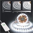 Boahaus LED Adjustable Brightness Modern Plastic LED Light Strips in Cold White