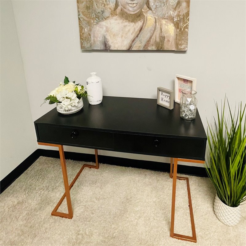 Boahaus Chenonceau Modern Metal Frame & Wood Console Table in Black