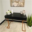 Boahaus Chenonceau Modern Metal Frame & Wood Console Table in Black
