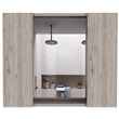Boahaus Braga Medicine Cabinet (Light Gray)