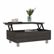 Boahaus Roma Coffee Table (Carbon Espresso)