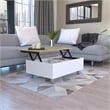 Boahaus Roma Coffee Table (White)