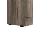 Boahaus Cayenne Storage Cabinet (Dark Brown / Black Wengue)