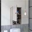 Boahaus Almada Medicine Cabinet  (Gray)