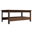 Boahaus Prato Walnut Coffee Table