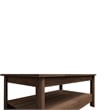 Boahaus Prato Walnut Coffee Table