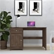 Boahaus Jeonju Modern Walnut Computer Desk