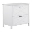 Saint Birch Rectangular 2-Drawer Modern Wood File Cabinet in White